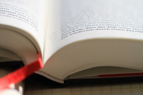 圣经，阅读，基督教，基督教，宗教，相信