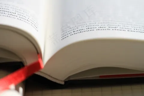 圣经，阅读，基督教，基督教，宗教，相信