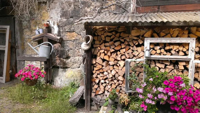 荷斯坦贝尔，装饰，背景，美女，气氛