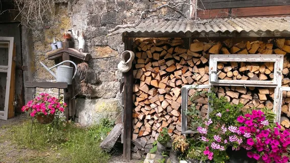 荷斯坦贝尔，装饰，背景，美女，气氛