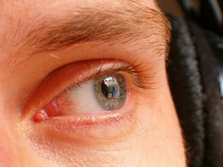 眼睛，外观，眉毛，睫毛，眼睛，梦想，特写