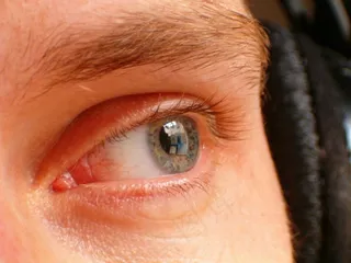 眼睛，外观，眉毛，睫毛，眼睛，梦想，特写