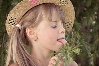 人，人类，儿童，女孩，金发，帽子，辫子，脸
