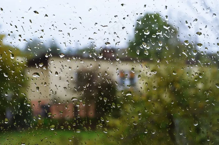 雨，滴，水滴，背景，窗格