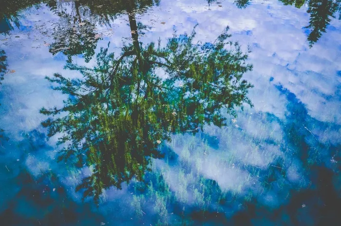 水，反射，树木，自然，蓝色，绿色，表面