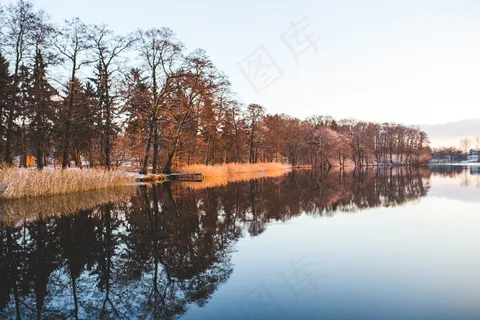 湖,树木,森林,自然,水,池塘 湖,树木,森林,自然,水,池塘