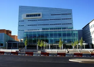 学校，大学，图书馆，建筑，书籍，法律