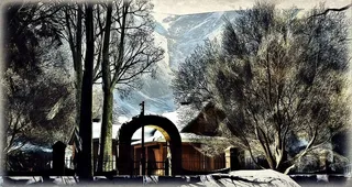 冰雪,油画,樱花盛开,村道,钢笔画,山区撤退