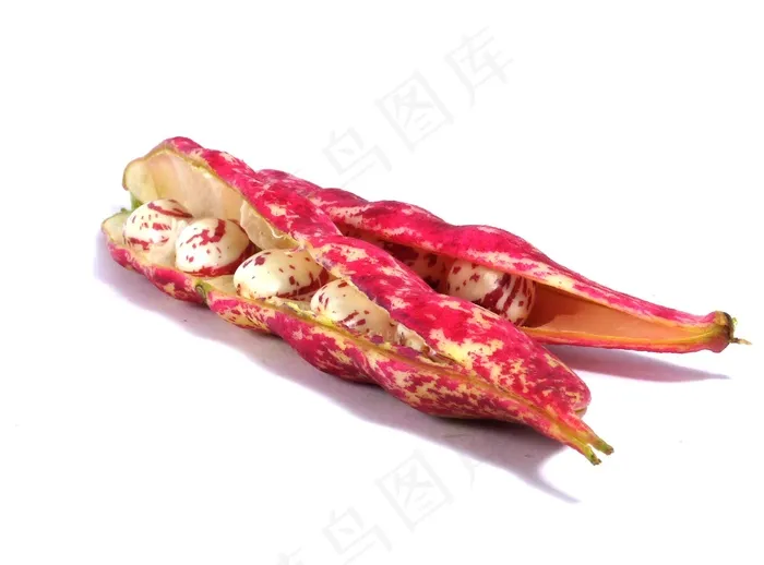 豆，粉红色，白色，食品，食用，种子，蛋白质