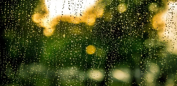 雨，水，滴，雨滴，窗口，湿，透明