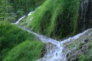 溪，水，流量，杂音，大溪，田园，绿色