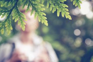 叶子，模糊，自然，绿色，颜色，明亮，光