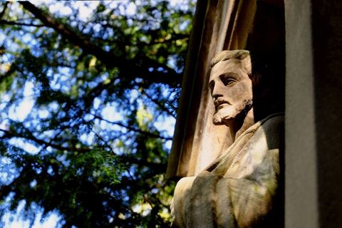 基督，人，救主，人的儿子