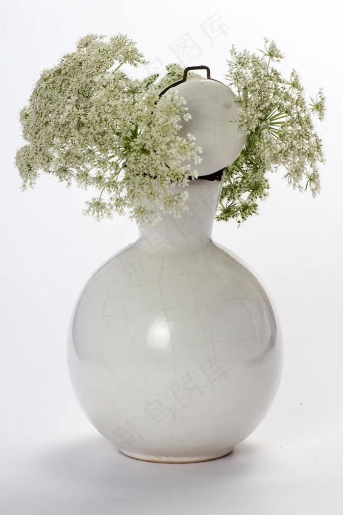静物，鲜花，野花，花瓶