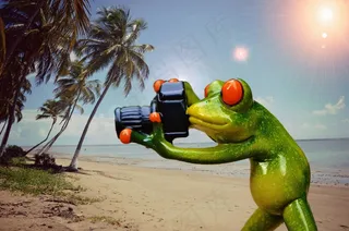 摄影师，海滩，假期，青蛙，可笑，相机，乐趣