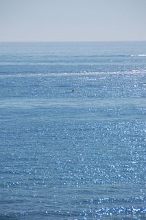 水，地平线，大海，蓝色