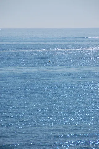 水，地平线，大海，蓝色