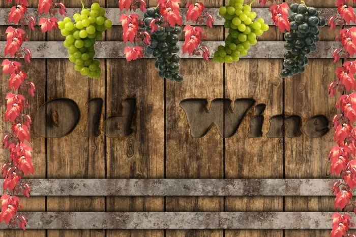 酒桶，葡萄酒，葡萄，葡萄藤，秋季，背景