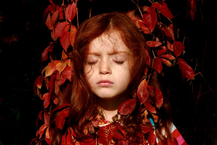 女孩，叶子，秋，红色，肖像，红头发，红发