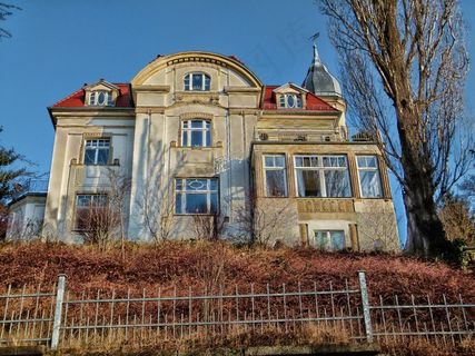 德累斯顿，德国，房子，首页，架构，天空，树木