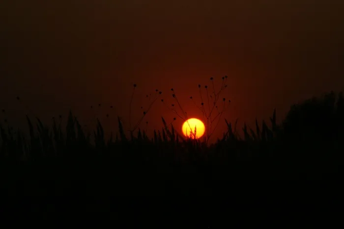 日落，太阳，天空，阴影