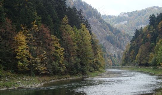 皮尼尼，波兰，景观，秋季，水，山