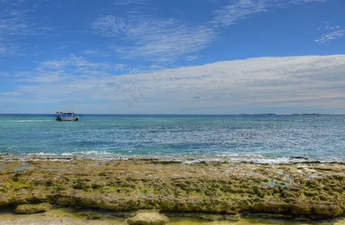 穆斯格雷夫夫人岛,美丽的海滩,海,阳光 穆斯格雷夫夫人岛,美丽的海滩,海,阳光