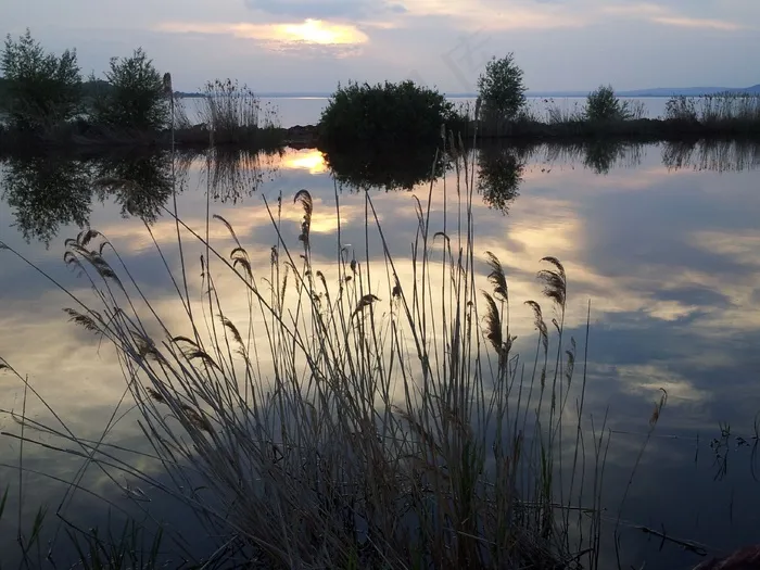 巴拉顿湖，巴拉顿，湖，水域