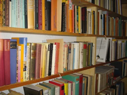 教育，书籍，德语，书籍，学习，阅读，书架