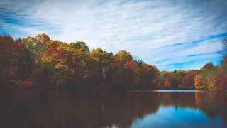 湖，树木，反射，秋，秋天，天空，景区