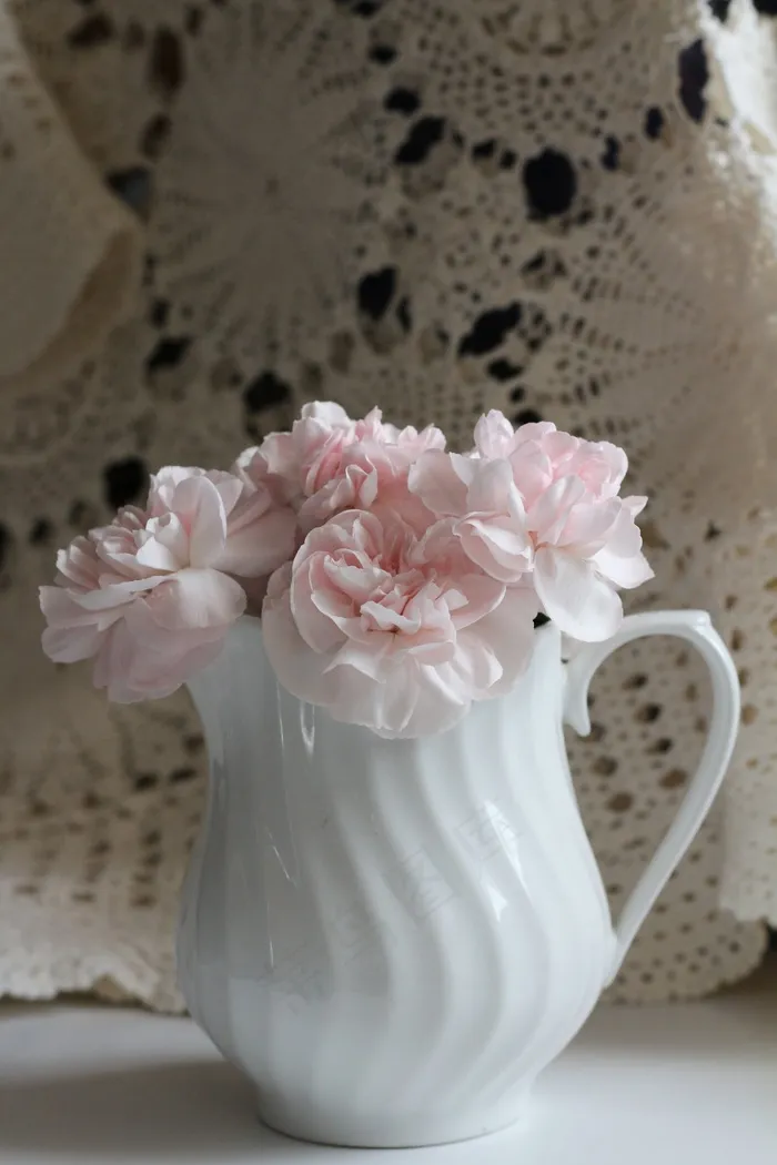 花，粉红色，白色，花的，花瓣，新鲜，花束