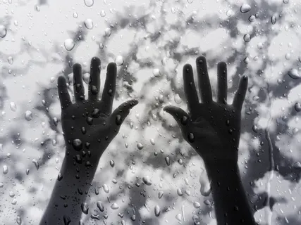 手，黑与白，黑，白，人，手指