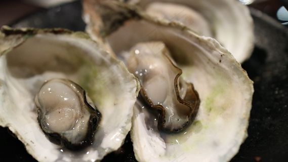 牡蛎，贝壳，蛤lam，干湾，海鲜，海产品