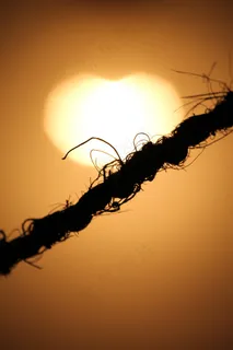 阳光，光，绳子，剪影，线，字符串