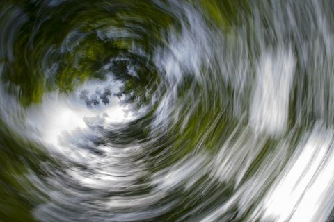 背景，果馅奶酪卷，抽象，摄影艺术，树木