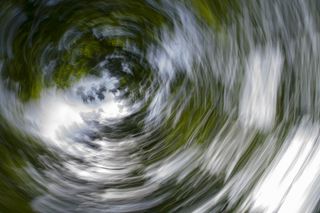 背景，果馅奶酪卷，抽象，摄影艺术，树木