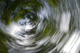 背景，果馅奶酪卷，抽象，摄影艺术，树木