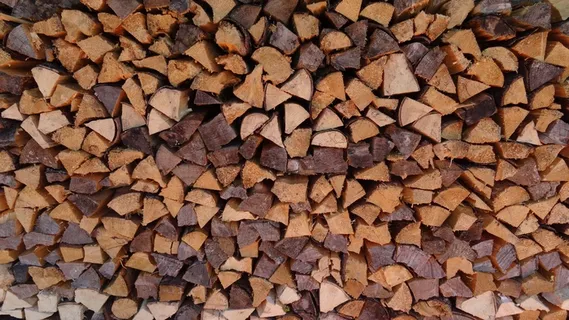 木材,Holzstapel,柴火,成长木本,原木 木材,Holzstapel,柴火,成长木本,原木