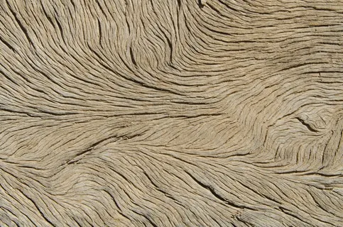 木材，静脉，纹理