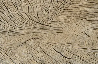 木材，静脉，纹理