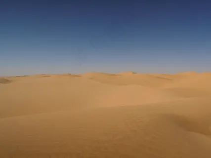 沙漠，沙滩，阿尔及利亚，撒哈拉沙漠