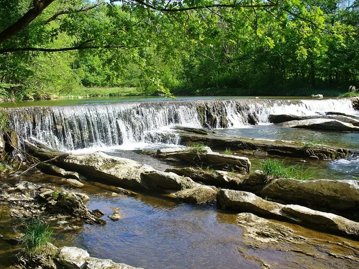 Bieszczady，森林，河流，树，夏天，水