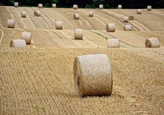 稻草，稻草捆，圆形捆，收获，秋季