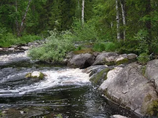 景观，自然，芬兰，森林，湖泊，地形