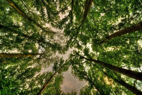 查找并看到不同