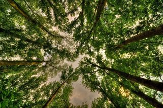 查找并看到不同