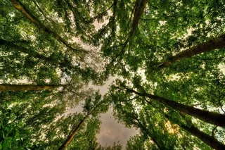 查找并看到不同