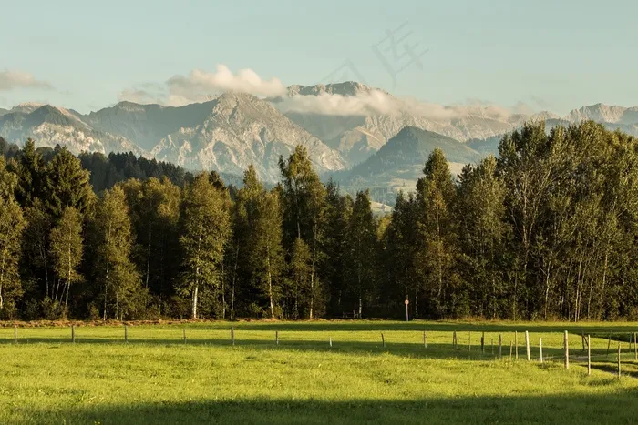 山，森林，草地，景观，高山，自然