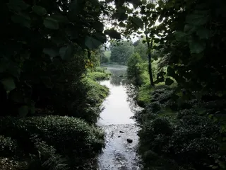 牛顿公园，英国，巴斯，巴斯温泉大学，自然