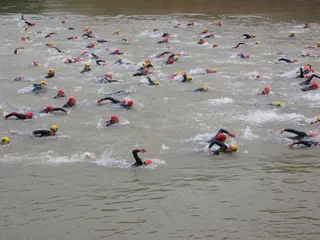 比赛，爬网，参与，游泳